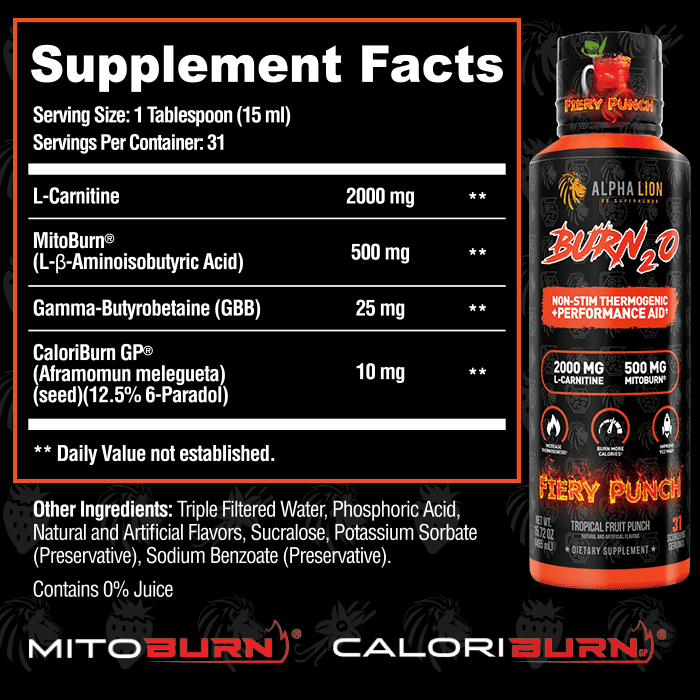 BURN 2.0 SHRED BERRY