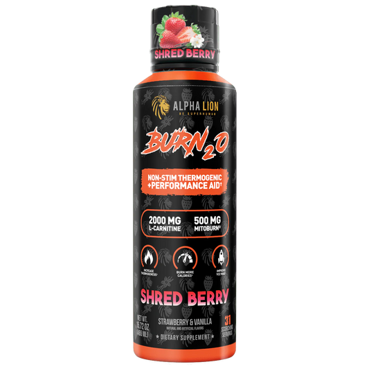 BURN 2.0 SHRED BERRY