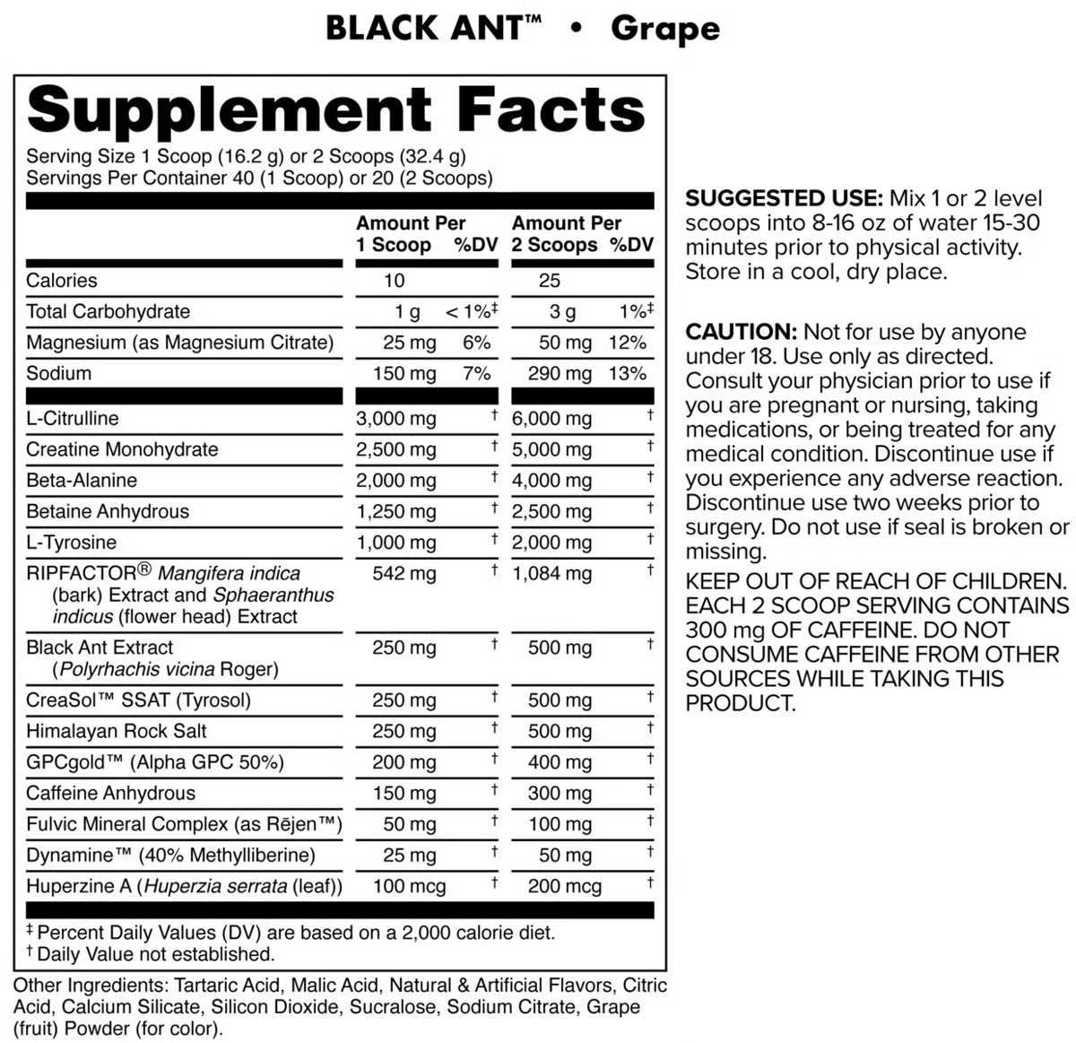 BLACK ANT GRAPE